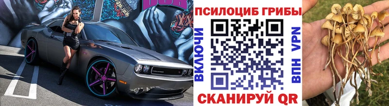 Галлюциногенные грибы мухоморы  Себеж 